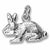Rabbit charm in 14K White Gold hide-image