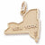 New York charm in Yellow Gold Plated hide-image