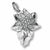 Poinsettia charm in Sterling Silver hide-image