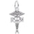 Rna Caduceus Charm In Sterling Silver