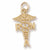 RNA Caduceus Charm in 10k Yellow Gold hide-image