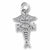 Rna Caduceus charm in Sterling Silver hide-image