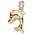 Dolphin Charm in 10k Yellow Gold hide-image