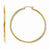 14k Yellow Gold Polished 2mm Hoop Earrings