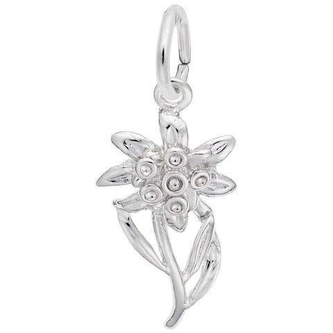Edelweiss Charm In 14K White Gold