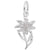 Edelweiss Charm In 14K White Gold