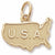 Usa Map charm in Yellow Gold Plated hide-image