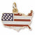 Usa Map Colored charm in Yellow Gold Plated hide-image