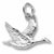 Canada Goose charm in Sterling Silver hide-image