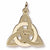 Celtic Circle Of Life Charm in 10k Yellow Gold hide-image