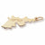 Tortola charm in Yellow Gold Plated hide-image