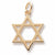 Star Of David charm in Yellow Gold Plated hide-image