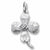 Dogwood charm in Sterling Silver hide-image