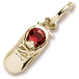 January Birthstone charm in Yellow Gold Plated hide-image