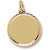 Round Disc Dia Cut charm in Yellow Gold Plated hide-image