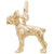 Boston Terrier Charm in Yellow Gold Plated