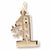 #1 Aunt Charm in 10k Yellow Gold hide-image