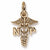 Nurse Practioner charm in Yellow Gold Plated hide-image