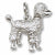 Poodle charm in 14K White Gold hide-image