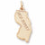 New Jersey charm in Yellow Gold Plated hide-image