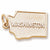 Washington charm in Yellow Gold Plated hide-image
