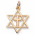 Interfaith Symbol charm in Yellow Gold Plated hide-image