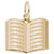 Book Charm in Yellow Gold Plated