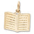 Book charm in Yellow Gold Plated hide-image