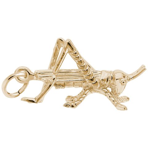 Cricket Charm In Yellow Gold