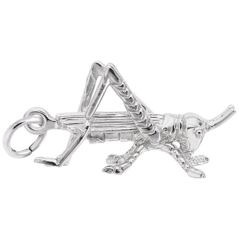 Cricket Charm In Sterling Silver