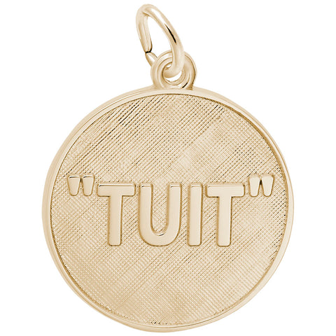 A Round Tuit Charm in Yellow Gold Plated