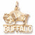 Buffalo Charm in 10k Yellow Gold hide-image
