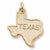 Texas charm in Yellow Gold Plated hide-image