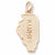 Illinois charm in Yellow Gold Plated hide-image