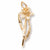 Daffodil Charm in 10k Yellow Gold hide-image