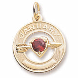 January Birthstone Charm in 10k Yellow Gold hide-image