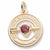 January Birthstone charm in Yellow Gold Plated hide-image