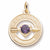 February Birthstone charm in Yellow Gold Plated hide-image