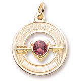 June Birthstone Charm in 10k Yellow Gold hide-image