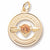 November Birthstone charm in Yellow Gold Plated hide-image