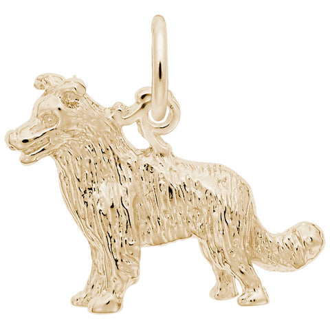 Border Collie Dog Charm In Yellow Gold