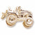 Riding Lawn Mower charm in Yellow Gold Plated hide-image