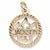 Jackson Hole charm in Yellow Gold Plated hide-image