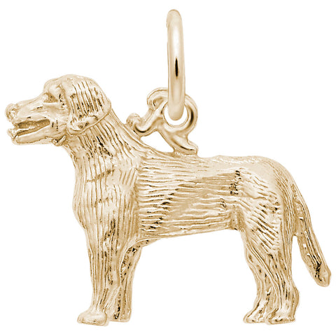 Labrador Charm in Yellow Gold Plated