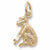 Monkey charm in Yellow Gold Plated hide-image
