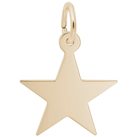Star Charm in Yellow Gold Plated