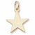 Star charm in Yellow Gold Plated hide-image
