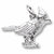 Cardinal charm in 14K White Gold hide-image