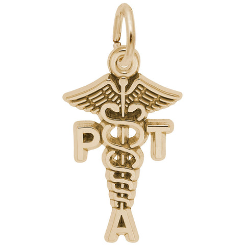 Pt Assistant Charm in Yellow Gold Plated