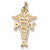 Pt Assistant Charm in 10k Yellow Gold hide-image